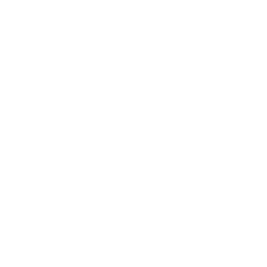 the Big Fat Cat
